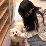 乱世强者变态版下载